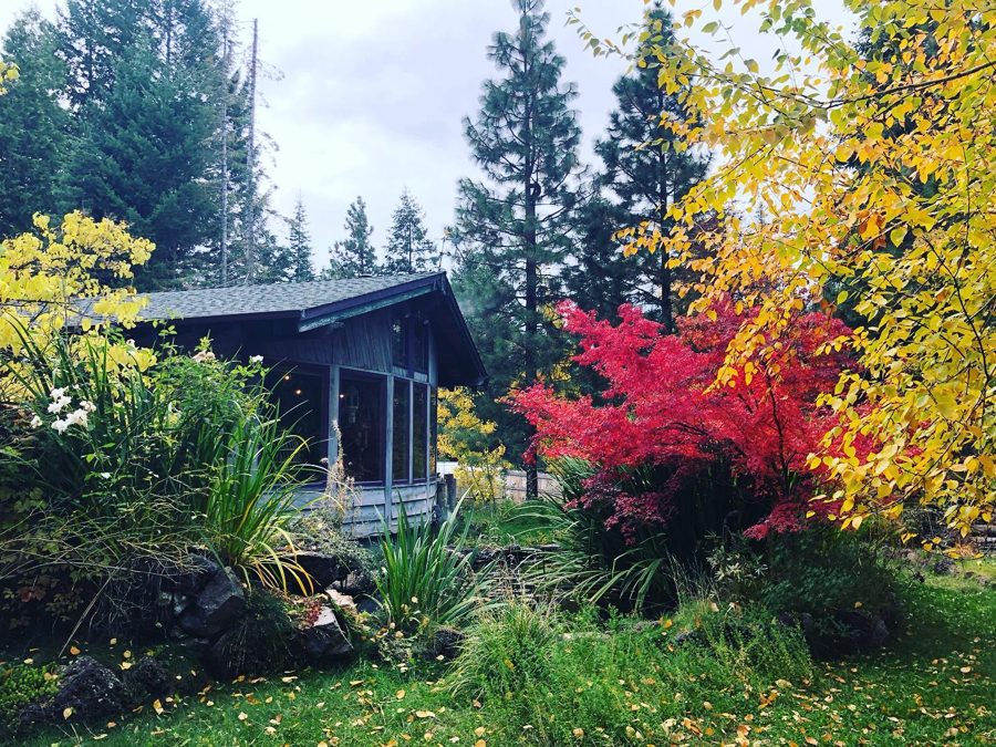 Jenna's studio house among tall pines and autumn trees in Mount Shasta